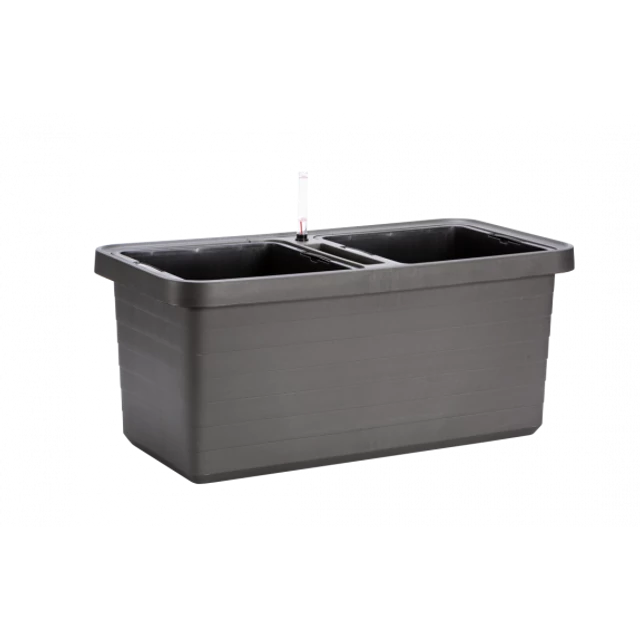 plastia berberis duo onontozo viraglada antracit