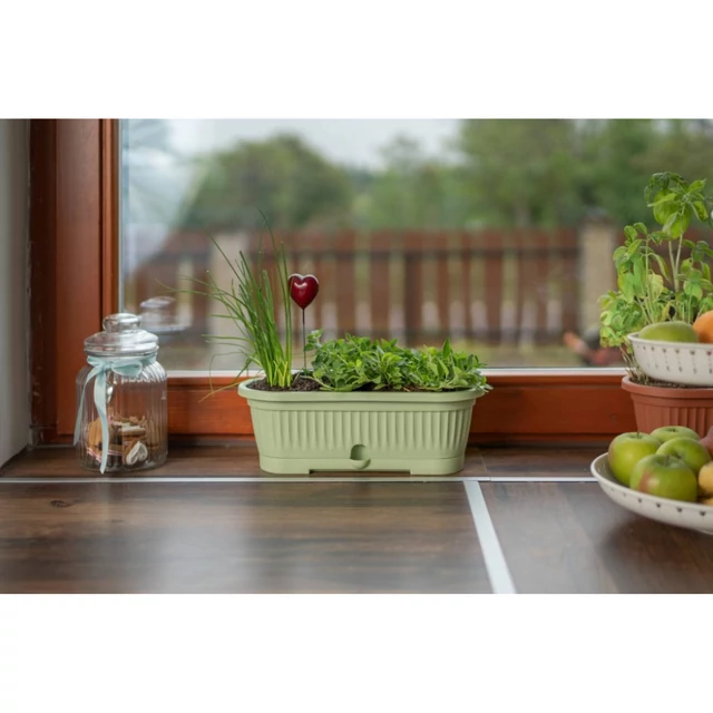 harplast verbena 300 viraglada alatettel olivazold 1.png