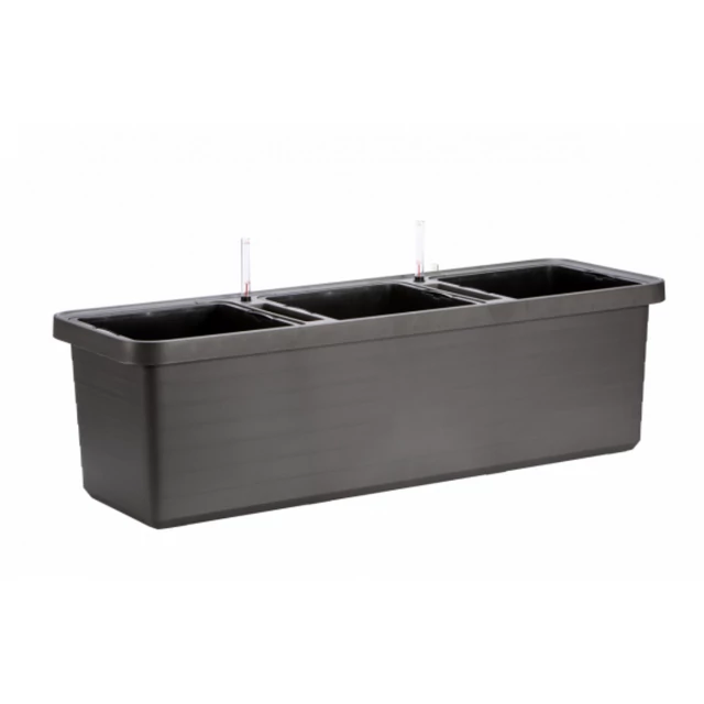 plastia berberis trio onontozo viraglada antracit.png